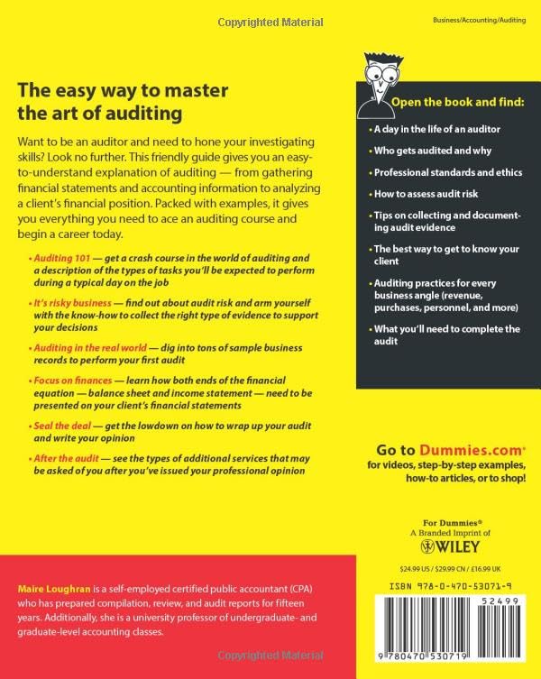 Auditing For Dummies,New