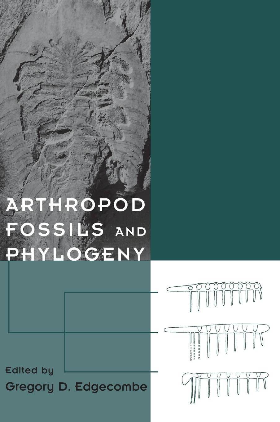 Arthropod Fossils and Phylogeny,New
