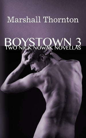 Boystown 3: Two Nick Nowak Novellas (Boystown Mysteries),Used