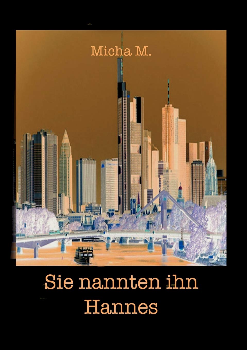 Sie nannten ihn Hannes: Roman (German Edition),Used
