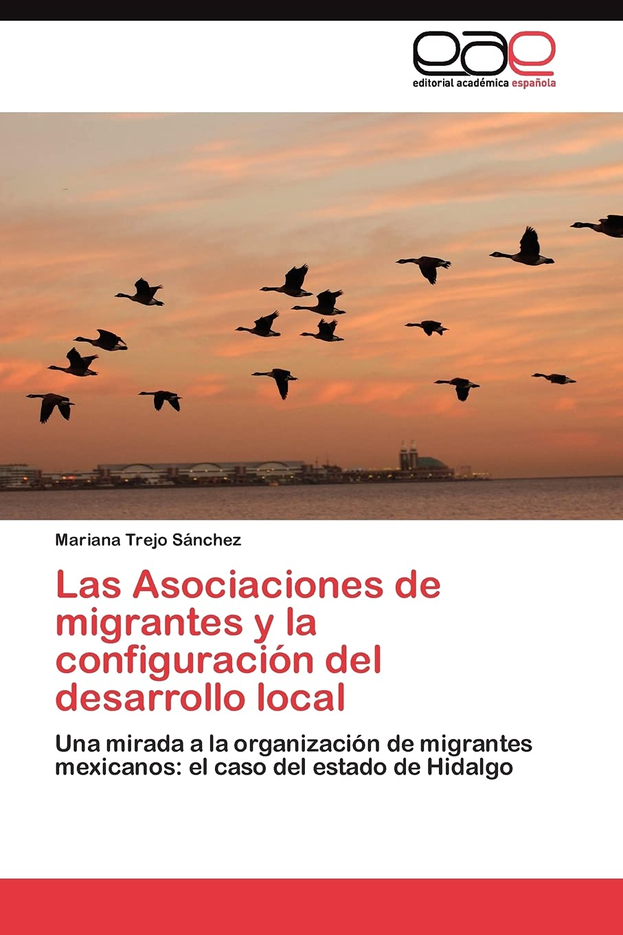 Las Asociaciones de migrantes y la configuracin del desarrollo local: Una mirada a la organizacin de migrantes mexicanos: el,Used