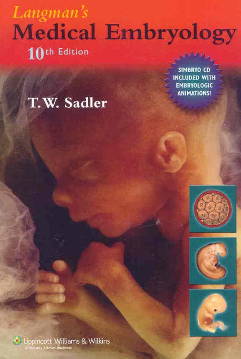 Langman's Medical Embryology,Used
