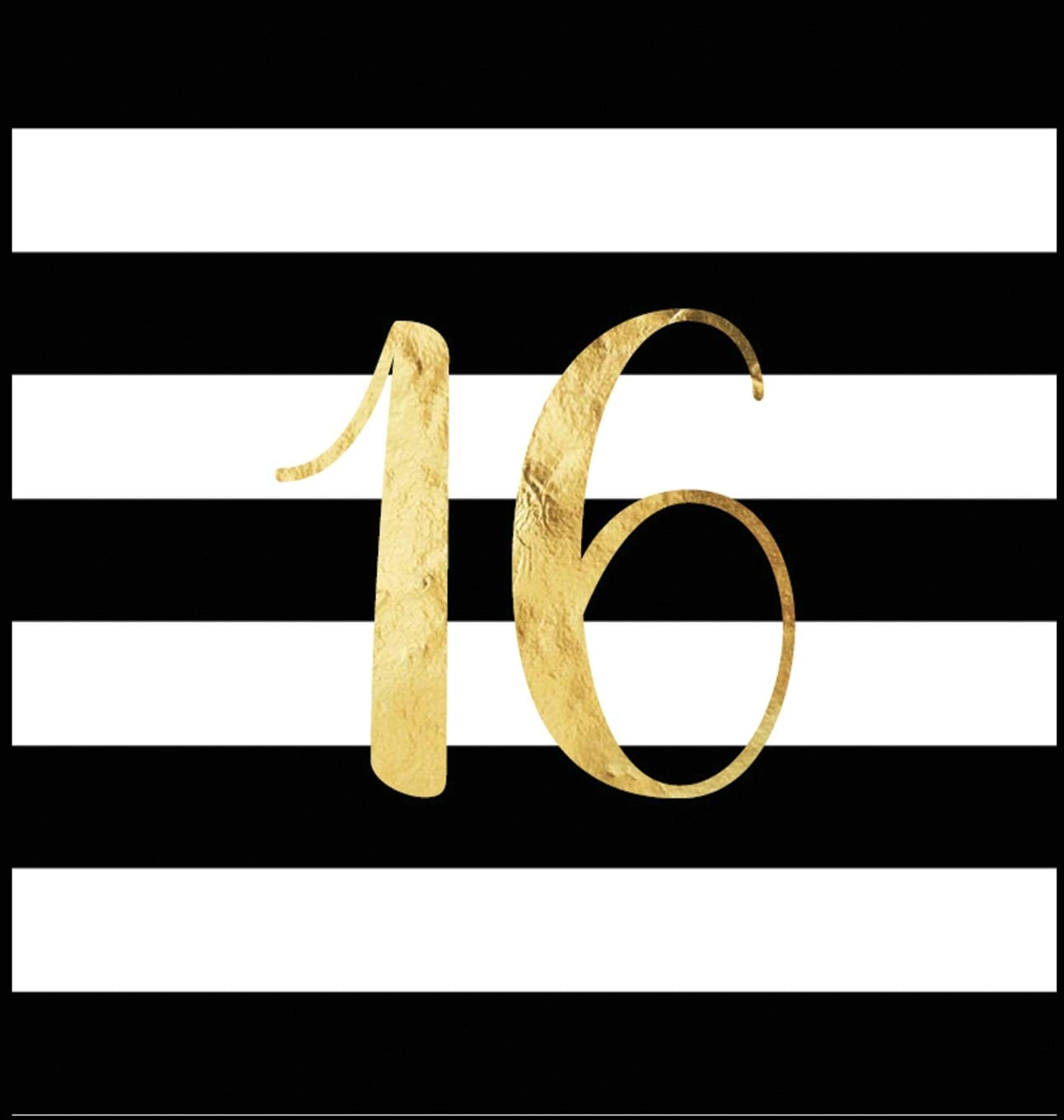 Happy 16th Birthday Guest Book (Hardcover): Sweet Sixteen Guest book, party and birthday celebrations decor, memory book, 16th b,Used