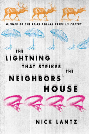 The Lightning That Strikes the Neighbors House (Wisconsin Poetry Series),Used