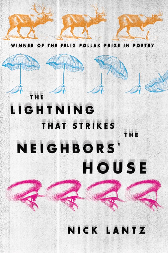The Lightning That Strikes the Neighbors House (Wisconsin Poetry Series),Used