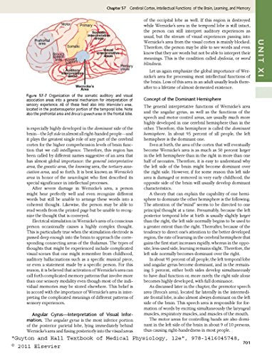 Guyton And Hall Textbook Of Medical Physiology, 12E