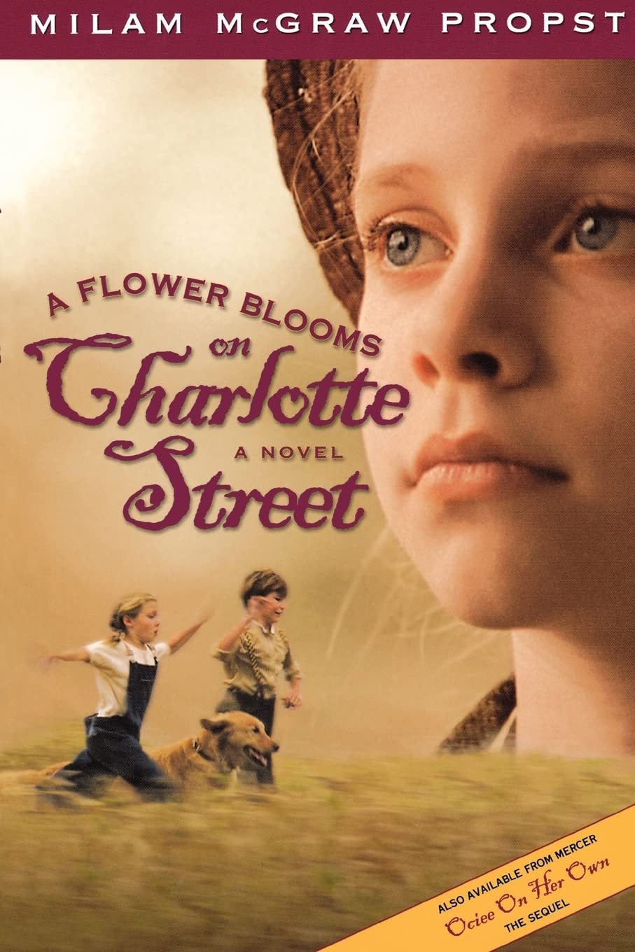 A Flower Blooms On Charlotte St,Used