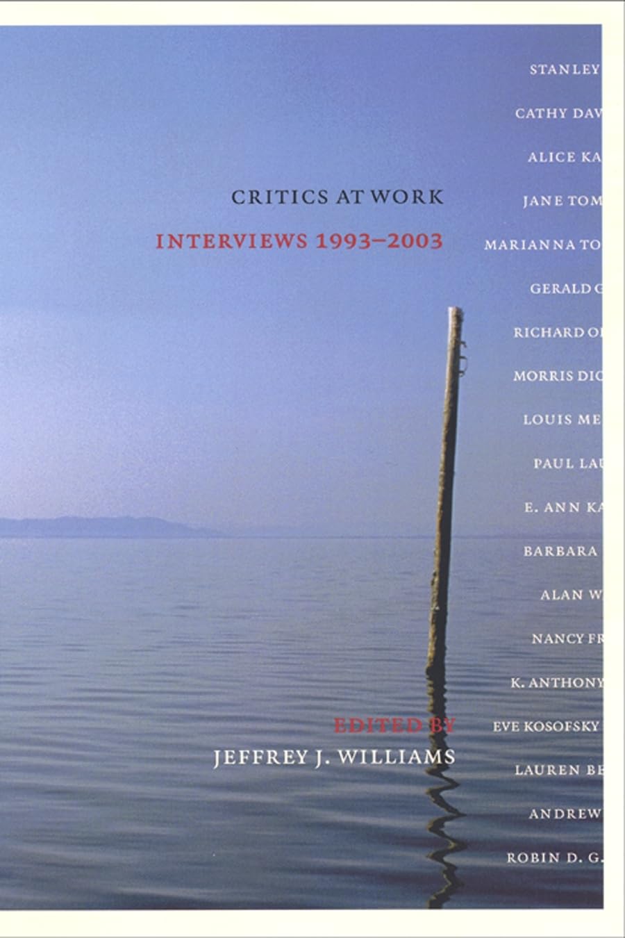 Critics at Work: Interviews 19932003 (Cultural Front),Used