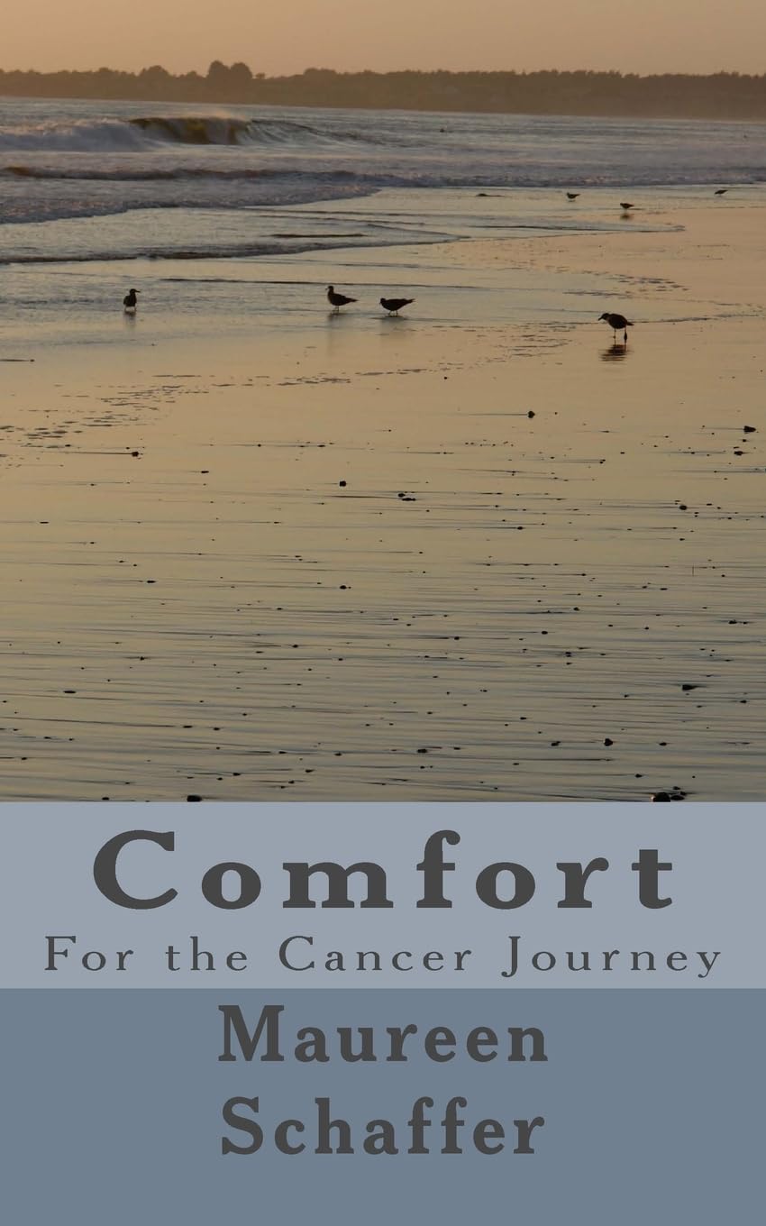 Comfort: For the Cancer Journey,Used