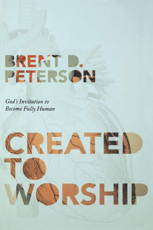 Created to Worship: God's Invitation to Become Fully Human,Used