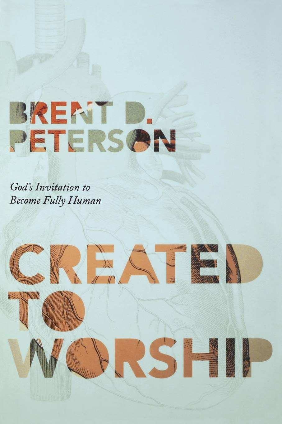 Created to Worship: God's Invitation to Become Fully Human,Used