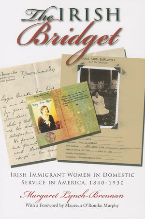 The Irish Bridget: Irish Immigrant Women In Domestic Service In America, 18401930 (Irish Studies),Used