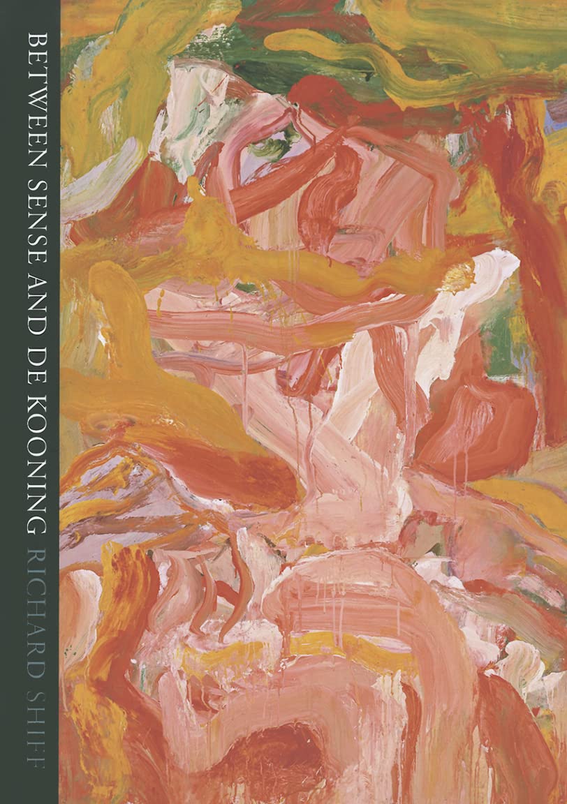 Between Sense and de Kooning,Used