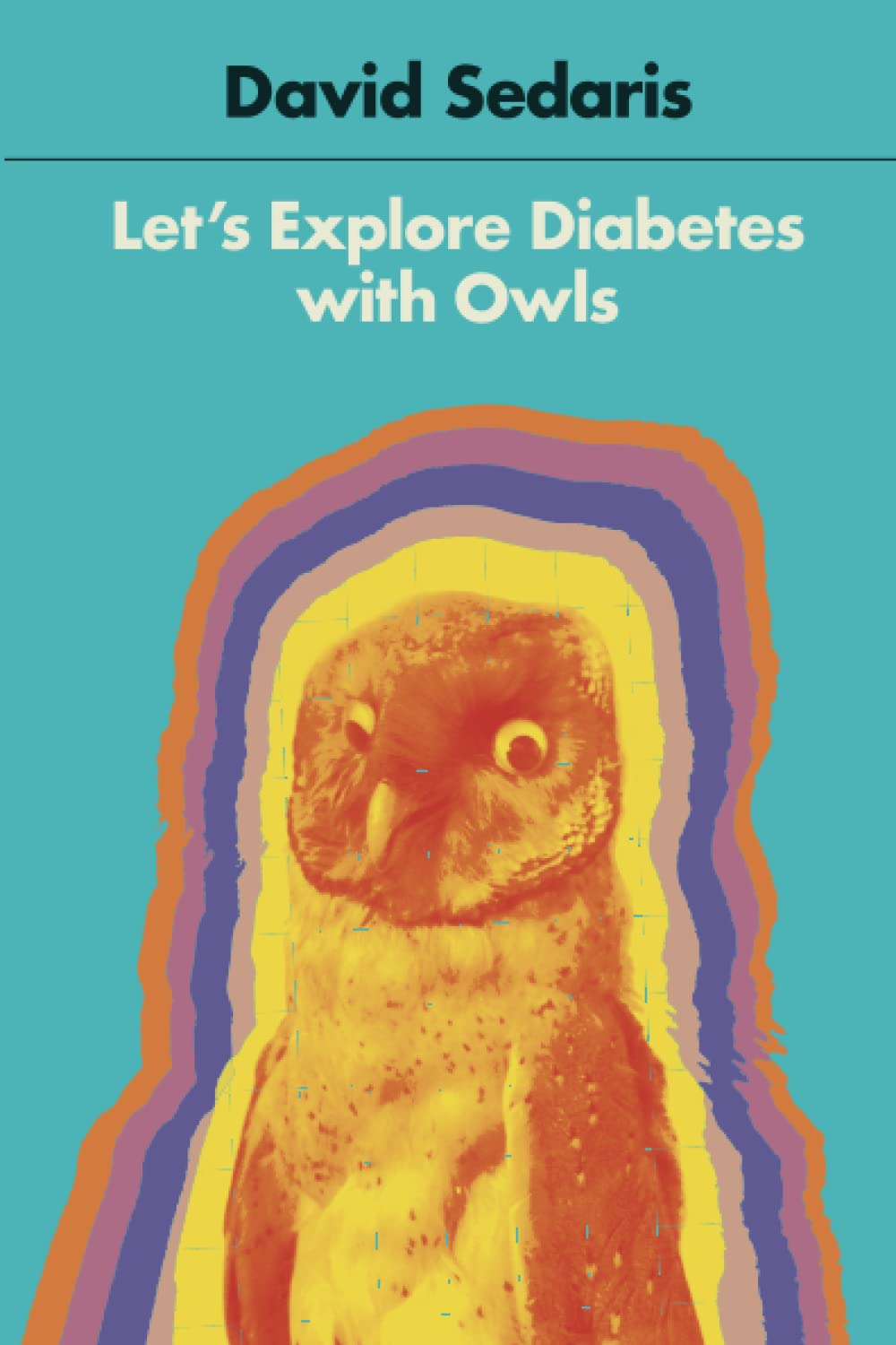 Let's Explore Diabetes with Owls,New