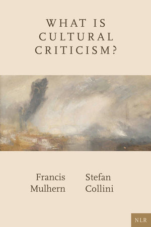 What Is Cultural Criticism?,New