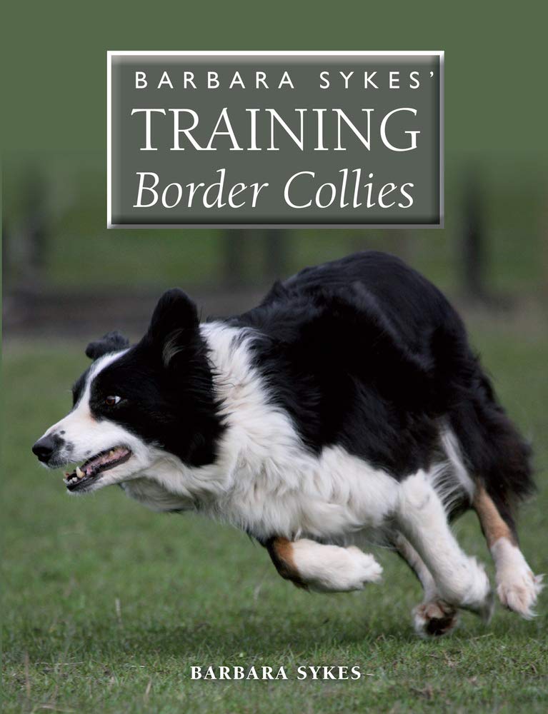 Barbara Sykes' Training Border Collies,Used