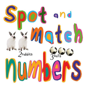 Spot And Match Numbers