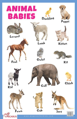 Animal Babies - Thick Laminated Primary Chart