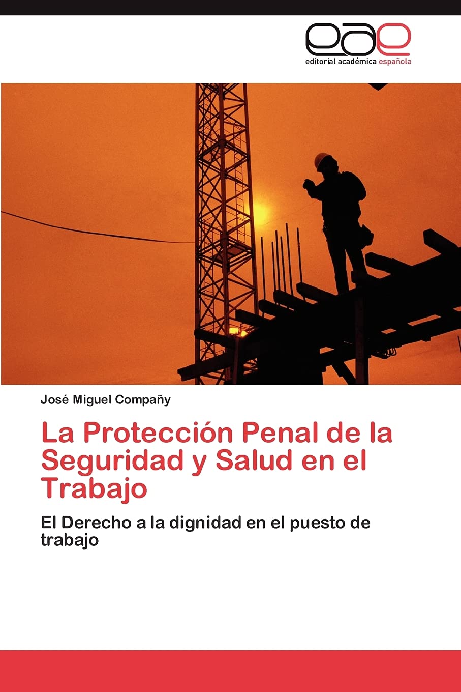 La Proteccin Penal de la Seguridad y Salud en el Trabajo: El Derecho a la dignidad en el puesto de trabajo (Spanish Edition),Used