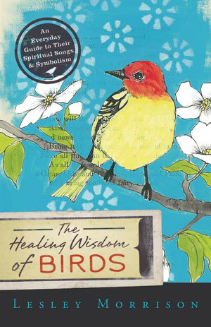 The Healing Wisdom Of Birds: An Everyday Guide To Their Spiritual Songs & Symbolism