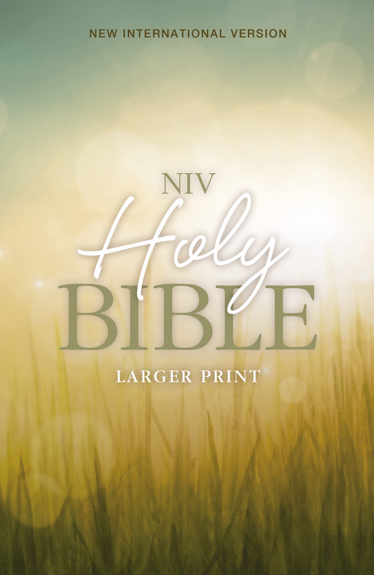 NIV, Holy Bible, Larger Print, Paperback,Used