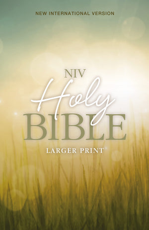 NIV, Holy Bible, Larger Print, Paperback,Used