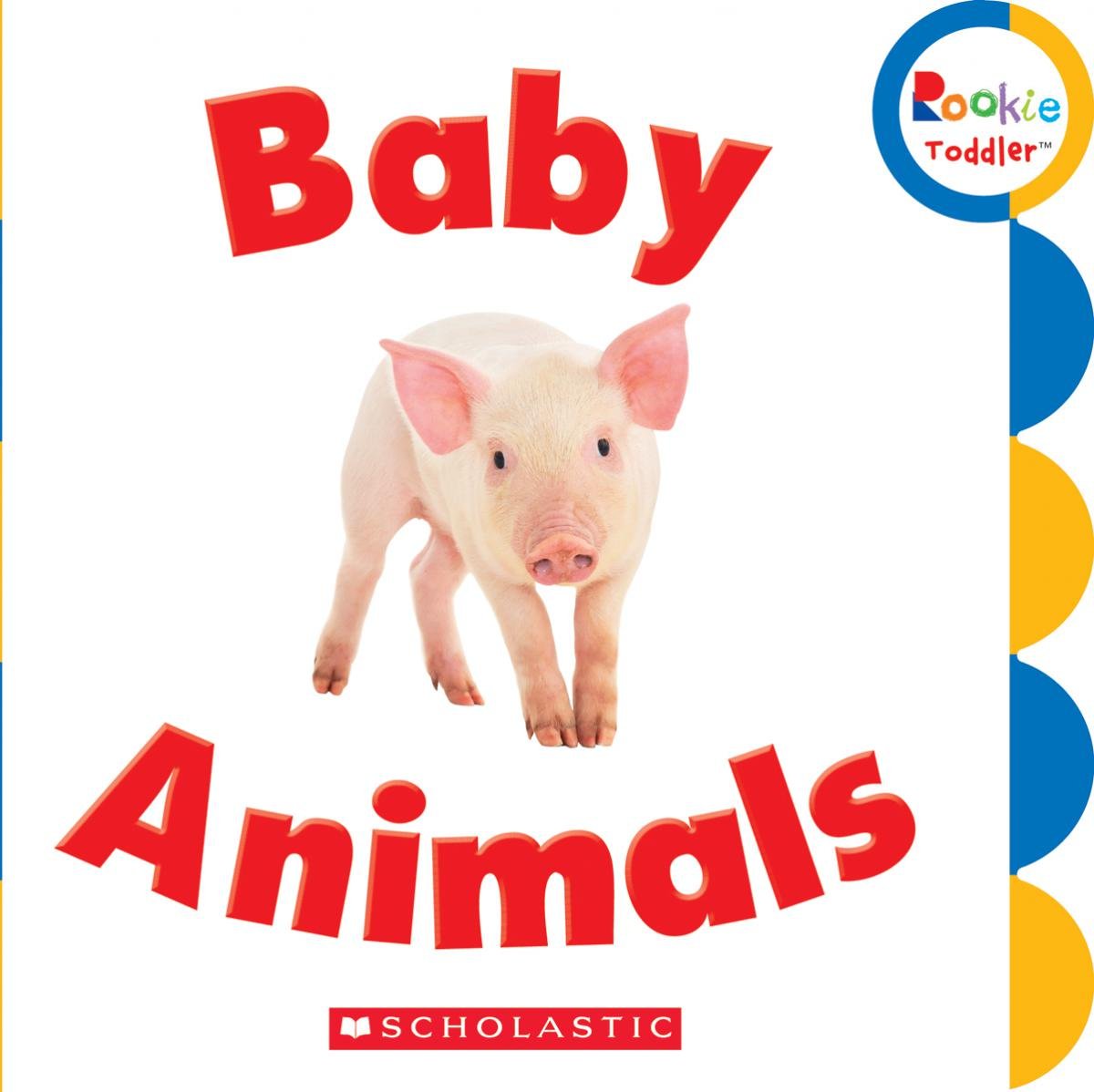 Baby Animals (Rookie Toddler),Used