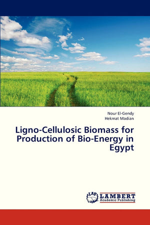 LignoCellulosic Biomass for Production of BioEnergy in Egypt,Used