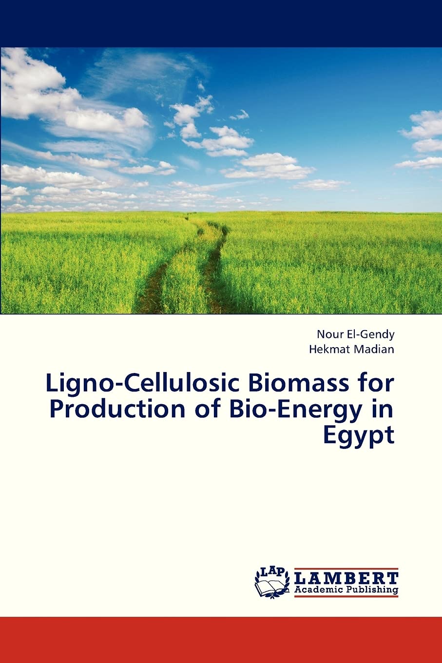 LignoCellulosic Biomass for Production of BioEnergy in Egypt,Used