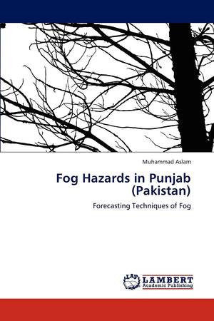 Fog Hazards in Punjab (Pakistan): Forecasting Techniques of Fog,Used
