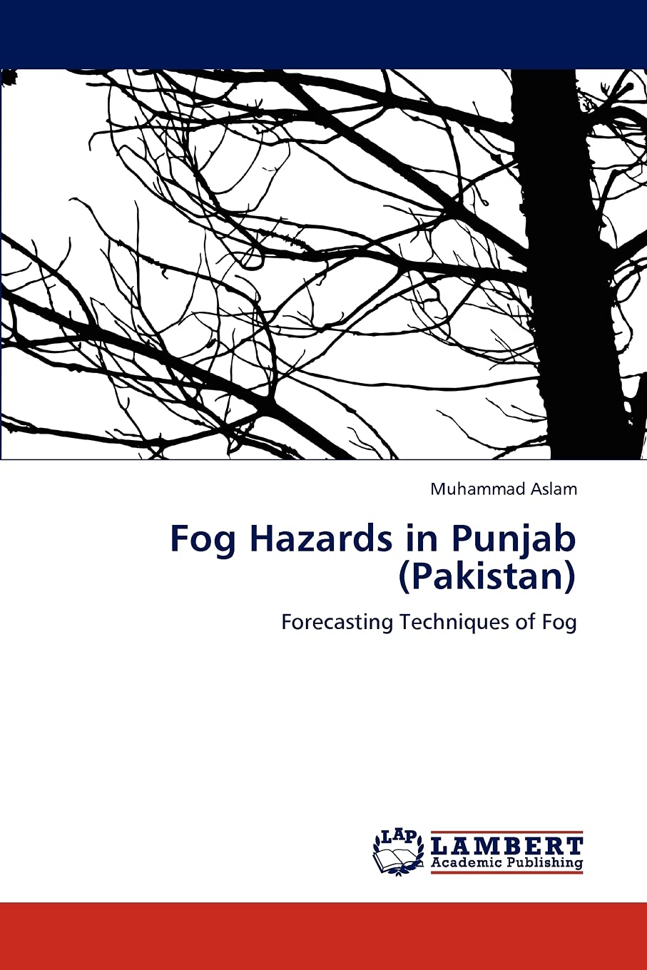 Fog Hazards in Punjab (Pakistan): Forecasting Techniques of Fog,Used