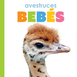 Avestruces Bebs (Spanish Edition)