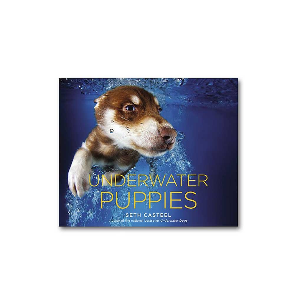 Underwater Puppies,New