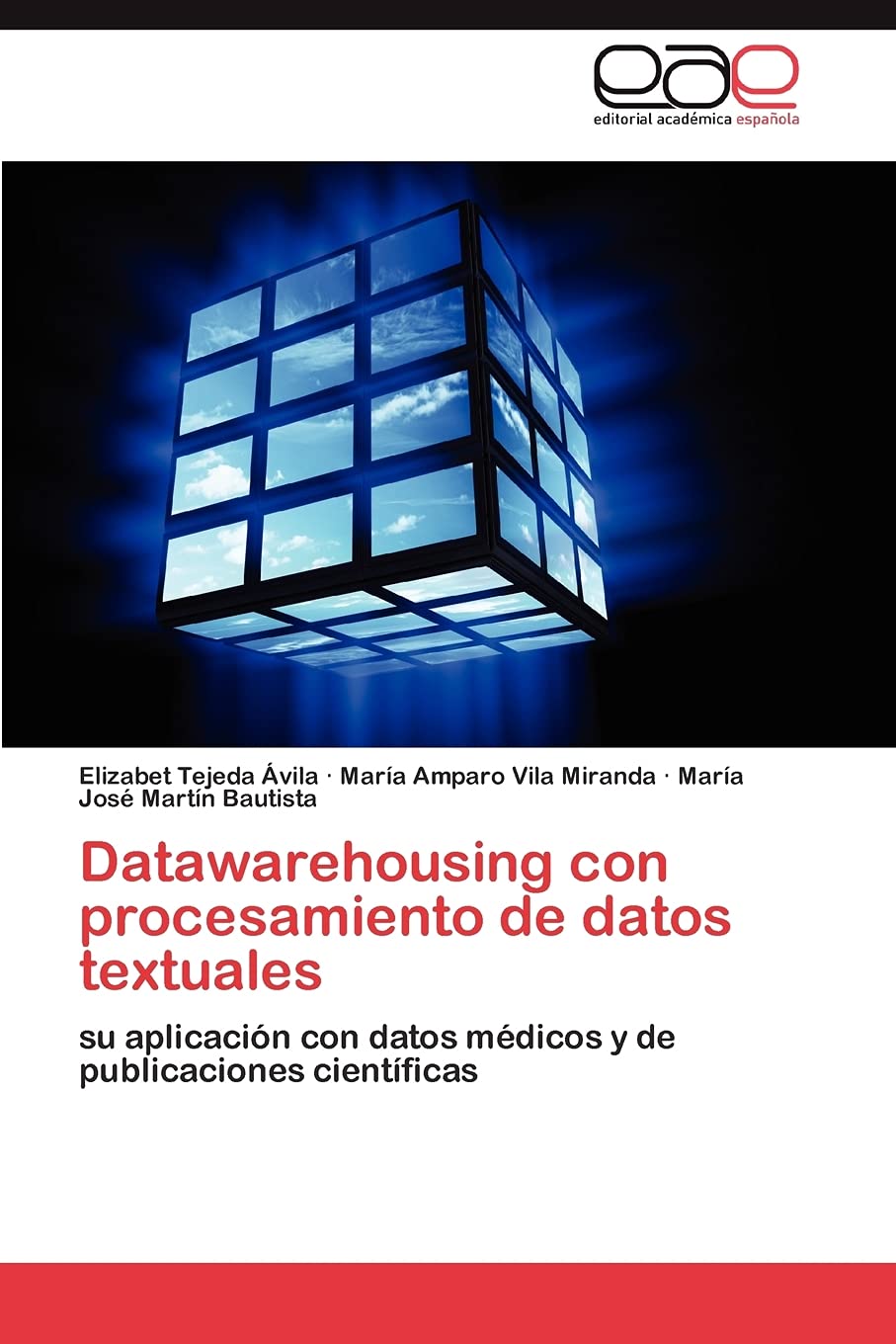 Datawarehousing con procesamiento de datos textuales: su aplicacin con datos mdicos y de publicaciones cientficas (Spanish,Used