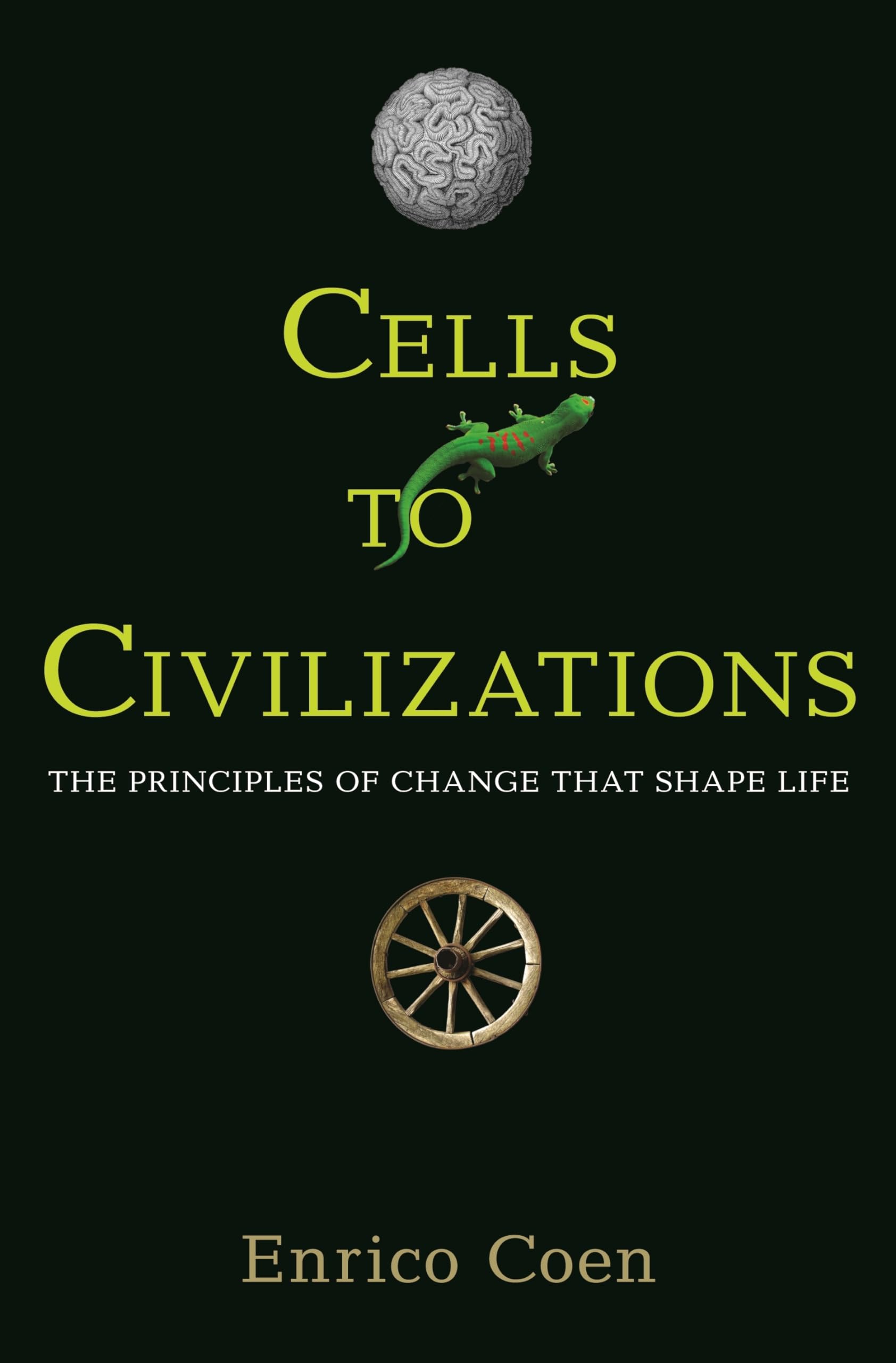 Cells to Civilizations: The Principles of Change That Shape Life,Used