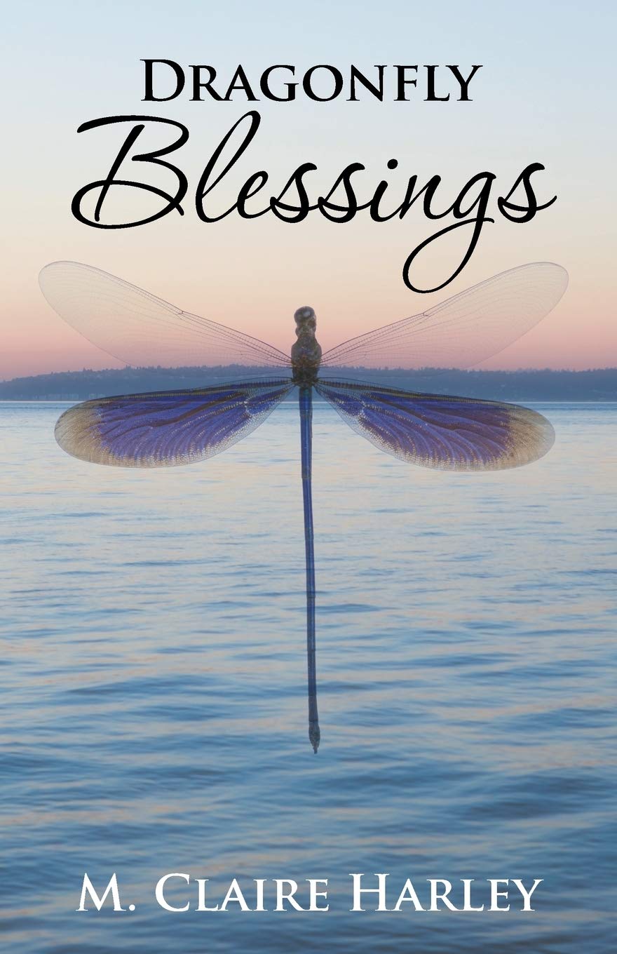 Dragonfly Blessings,Used