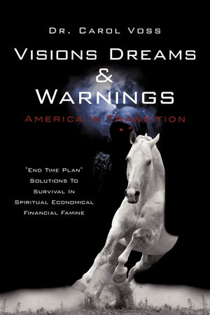 Visions Dreams And Warnings America In Transition,Used