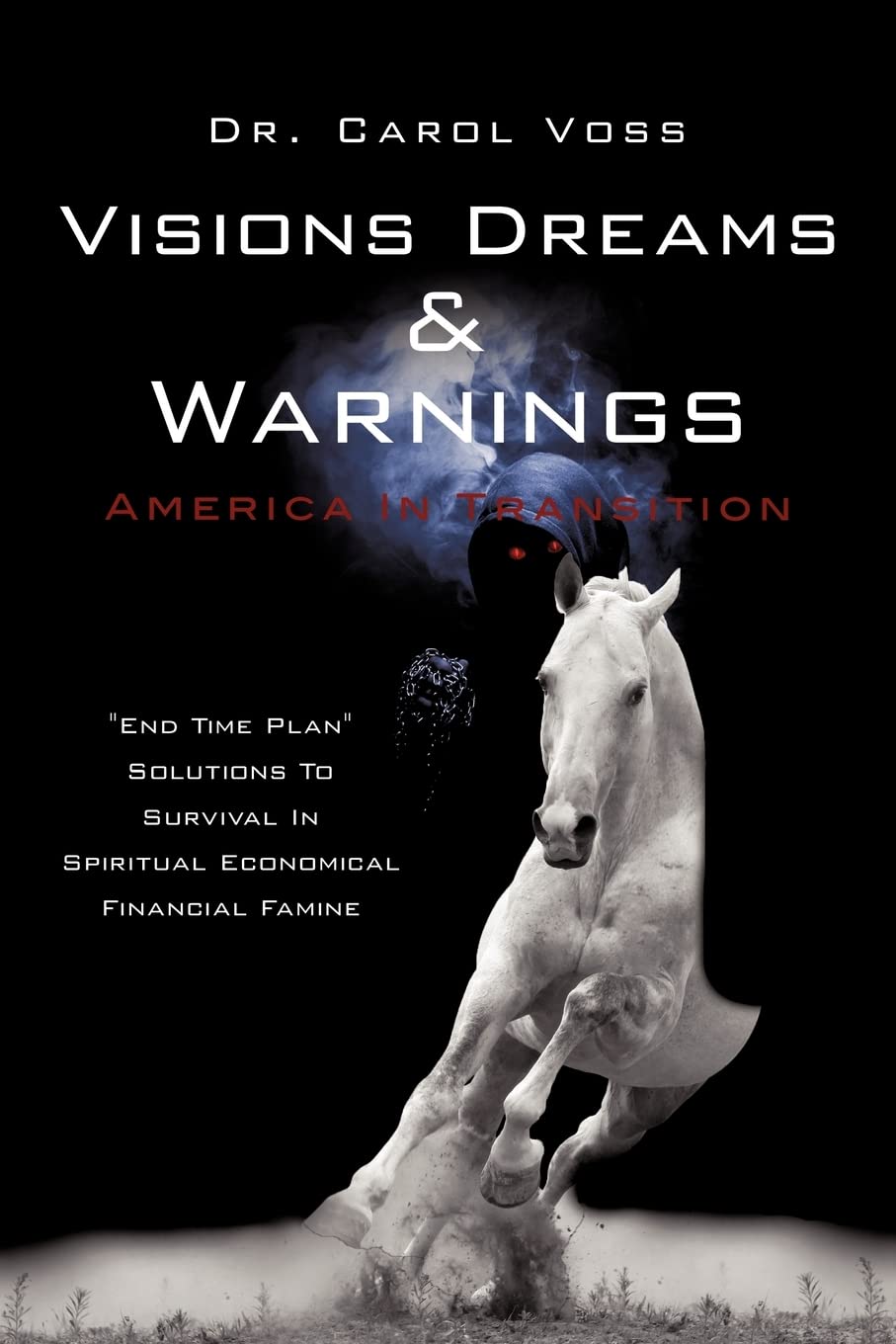 Visions Dreams And Warnings America In Transition,Used