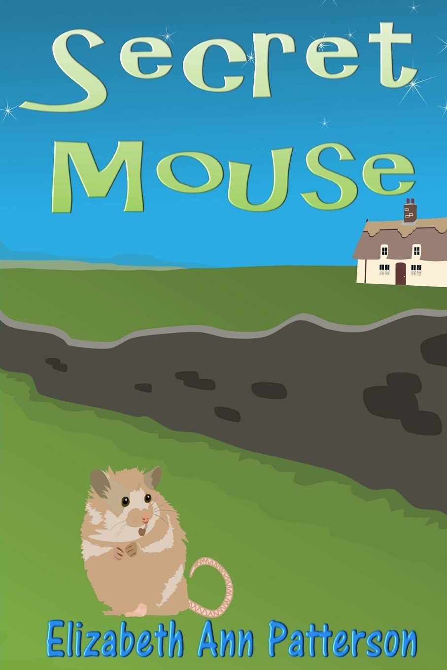 Secret Mouse,Used