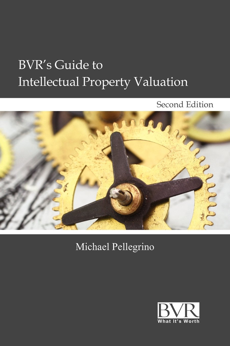 BVR's Guide to Intellectual Property Valuation,New