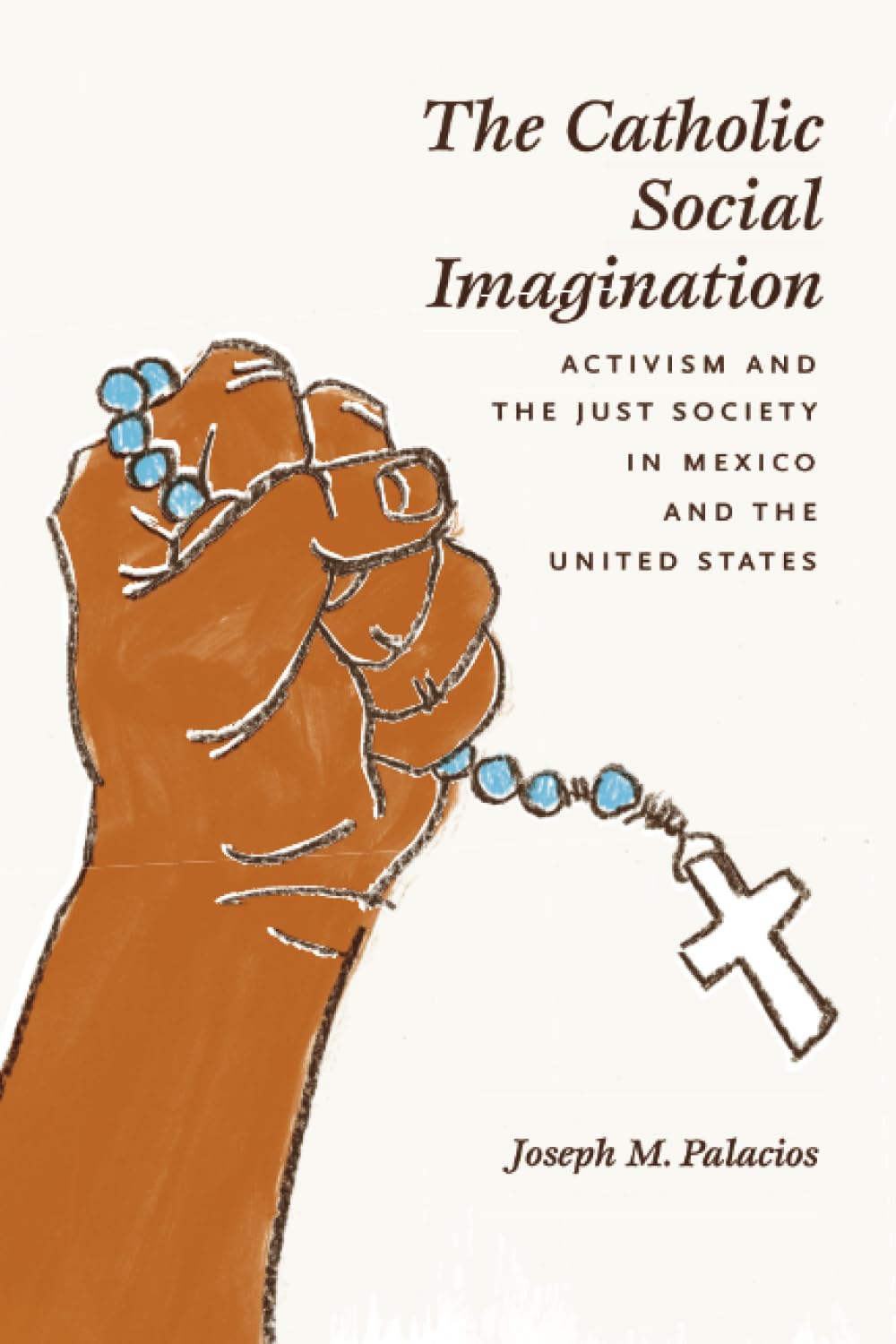 The Catholic Social Imagination: Activism And The Just Society In Mexico And The United States (Morality And Society Series),Used
