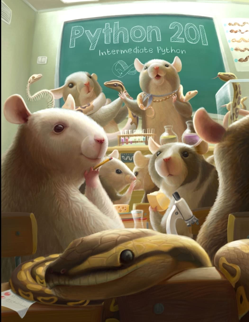 Python 201: Intermediate Python,Used