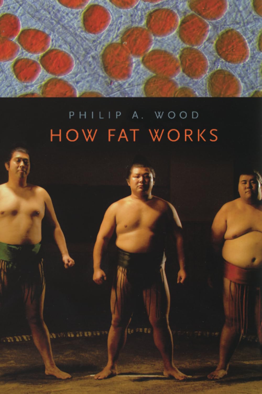 How Fat Works