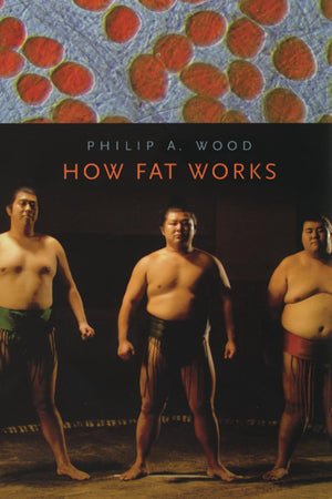 How Fat Works