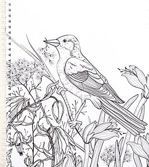 Color & Frame  Country (Adult Coloring Book)