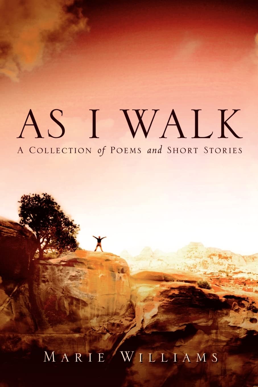 As I Walk,Used