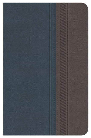 Biblia Clsica Edicin Especial: Duo Tono Grisazulado (Spanish Edition),New