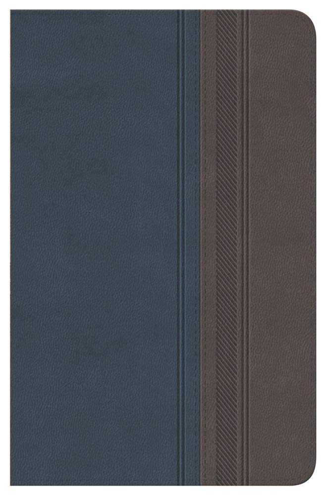 Biblia Clsica Edicin Especial: Duo Tono Grisazulado (Spanish Edition),New