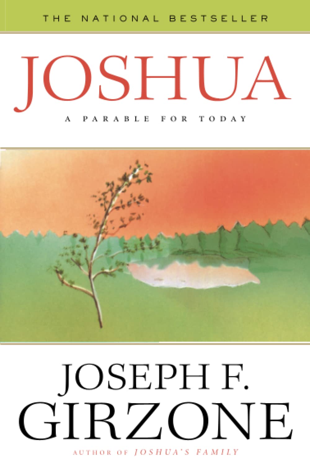 Joshua: A Parable for Today,Used