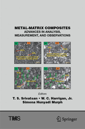 MetalMatrix Composites: Advances in Analysis, Measurement, and Observations (The Minerals, Metals & Materials Series),Used